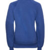 Royal Blue Kids Sweatshirt (Primary) - Image 2